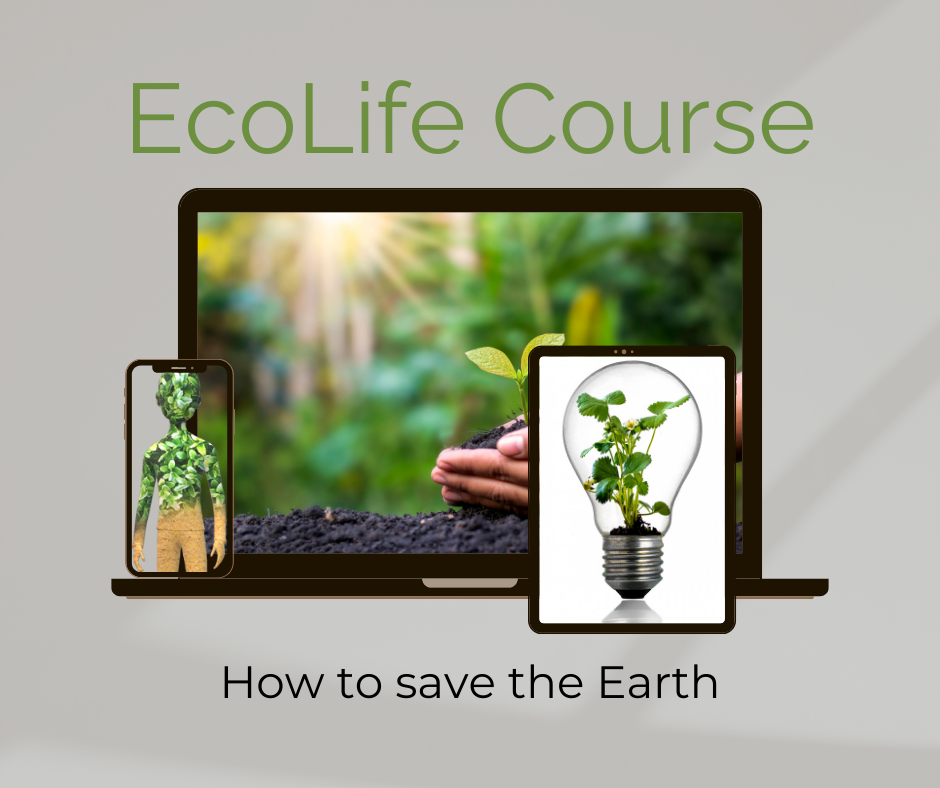 EcoLife Course : ♻️ Your lifestyle can become a force for good PLR