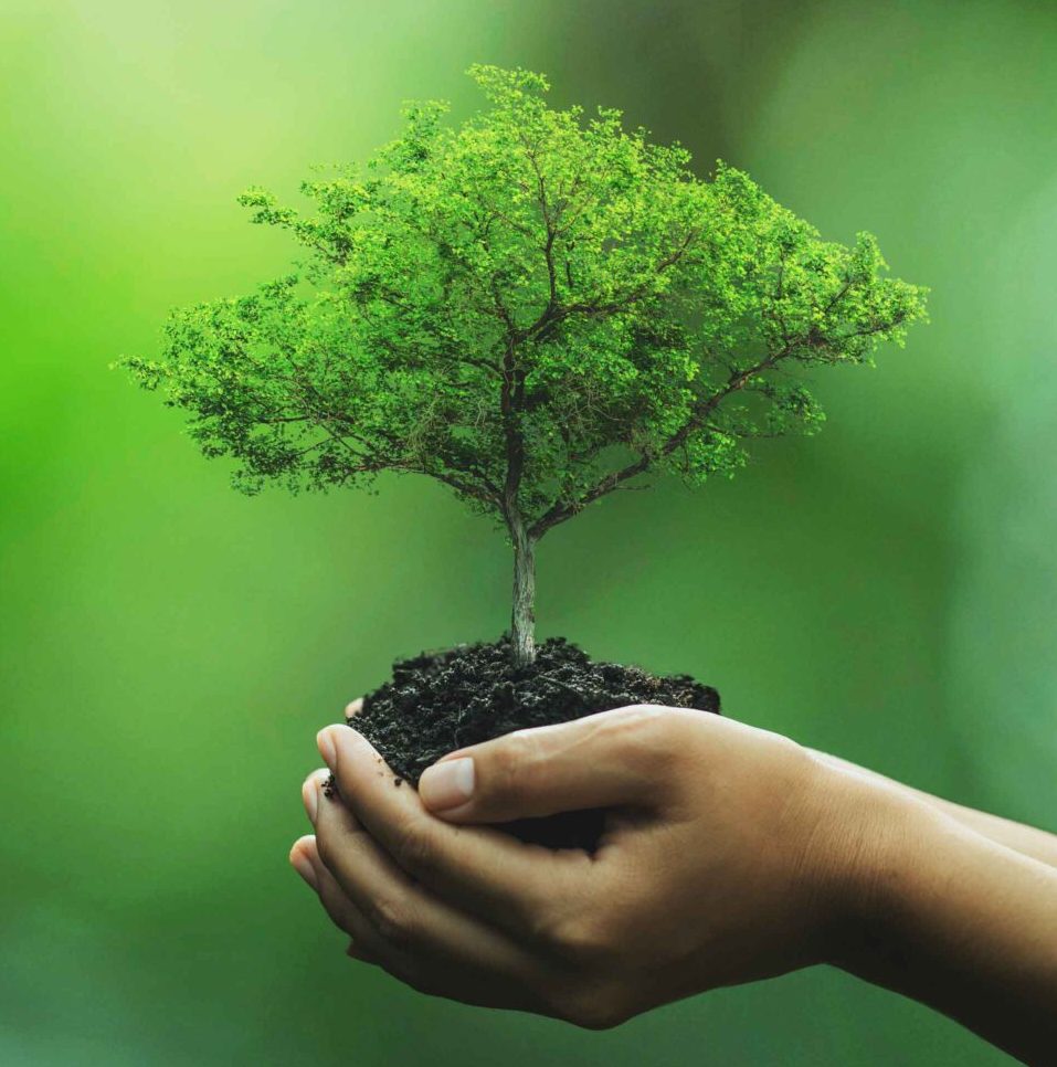 EcoLife Course : ♻️ Your lifestyle can become a force for good PLR